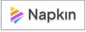 Napkin